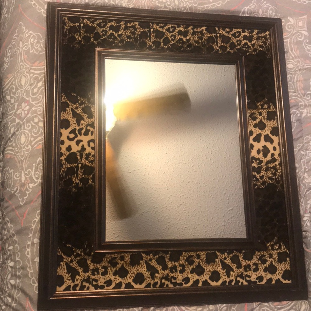 26x22 cheetah print mirror